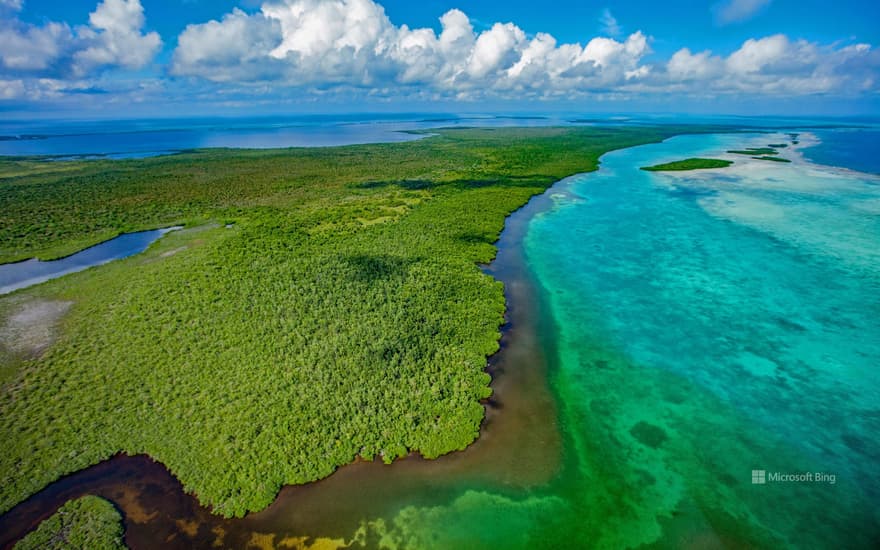 Lighthouse Reef, Blue Hole Natural Monument, Belize