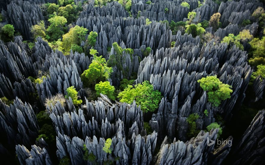 Tsingy de Bemaraha National Park, Madagascar