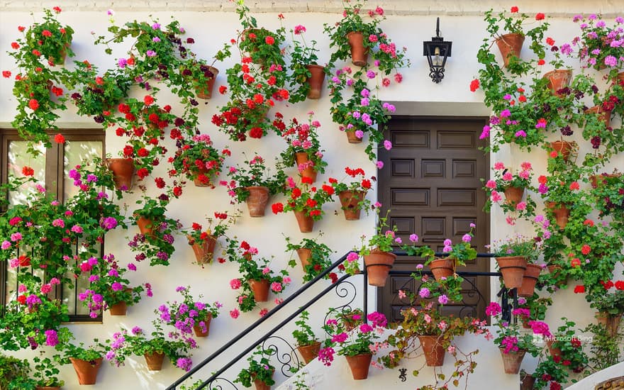 Cordoba Patios Festival, Cordoba, Andalusia, Spain