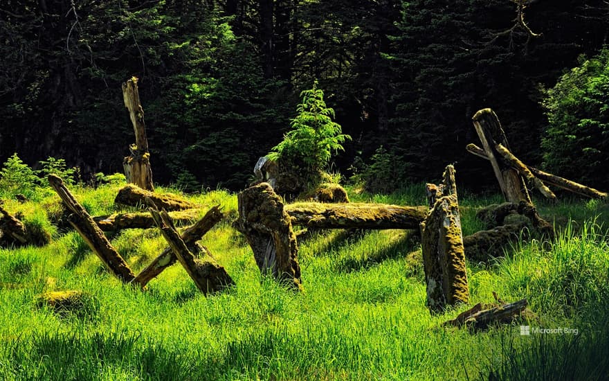 Gwaii Haanas National Park Reserve and Haida Heritage Site, British Columbia, Canada