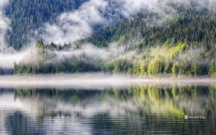 Fjord with fog, Khutzeymateen Provincial Park