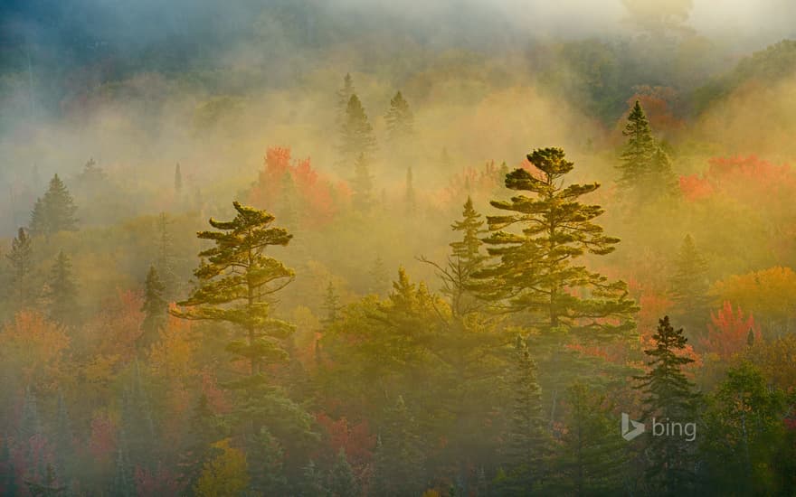 Lake Superior Provincial Park, Ontario, Canada