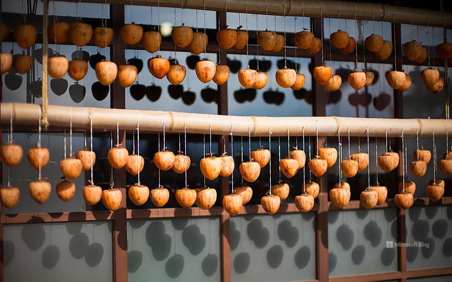 Dried persimmon, Fujikawaguchiko Town, Minamitsuru District, Yamanashi Prefecture