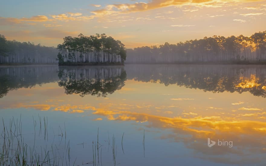 Long Pine Key in Everglades National Park, Florida