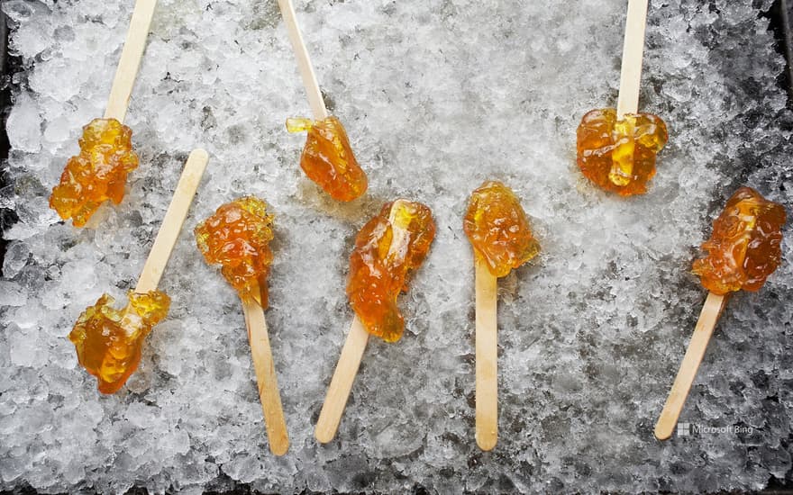 Hardened maple syrup on a wooden stick sitting on ice, Elmira, Ontario