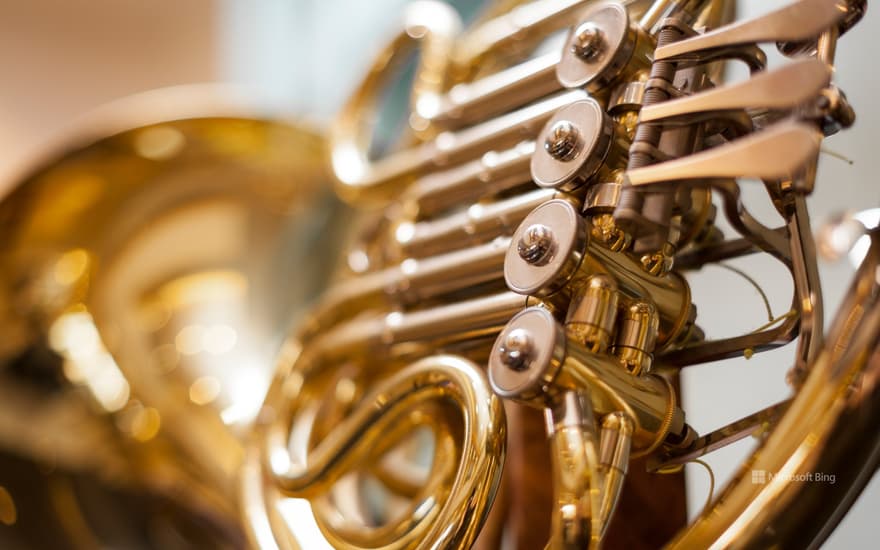 Close-up of a French horn