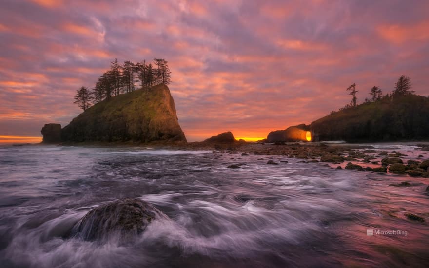 Olympic Coast National Marine Sanctuary, Washington state, USA