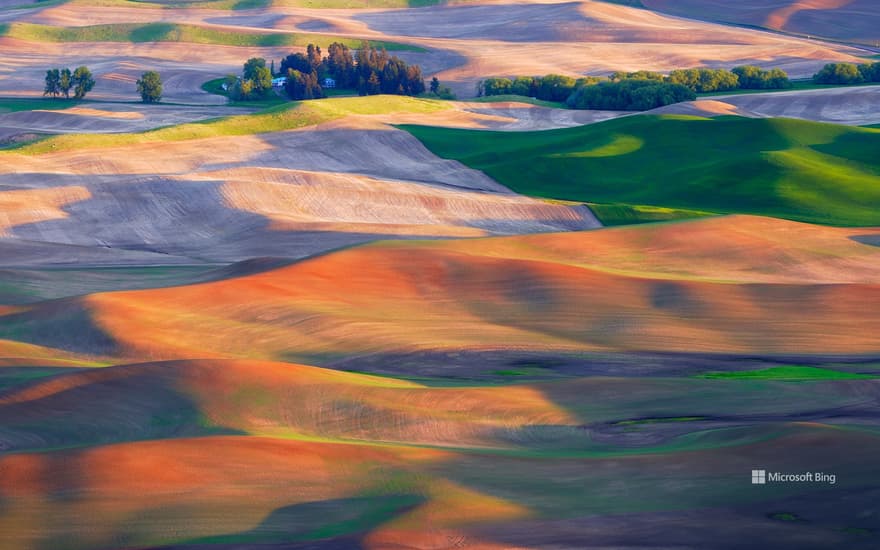 Farmland in the Palouse, Washington