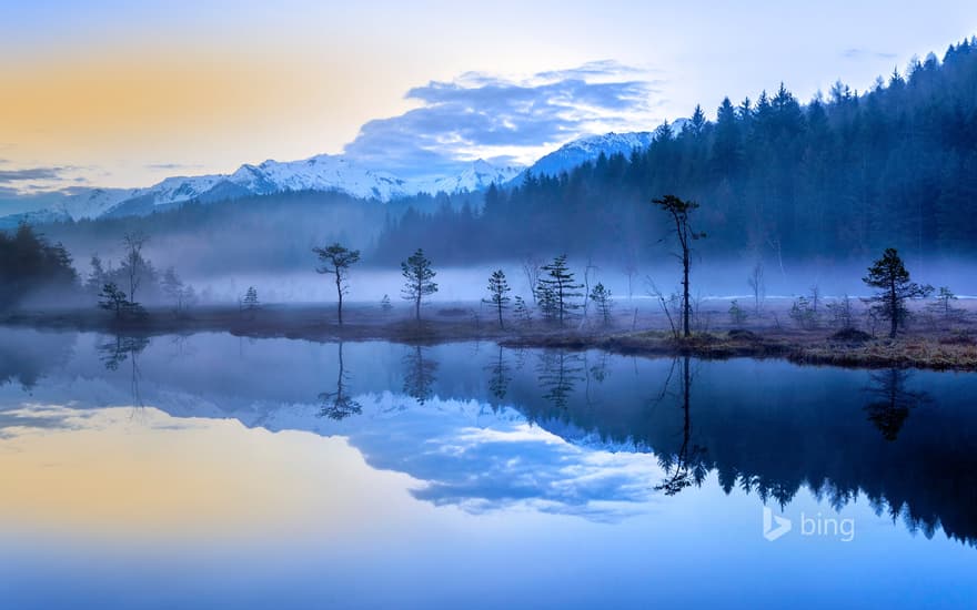 The misty bogs of Pian di Gembro Regional Reserve near Aprica, Italy