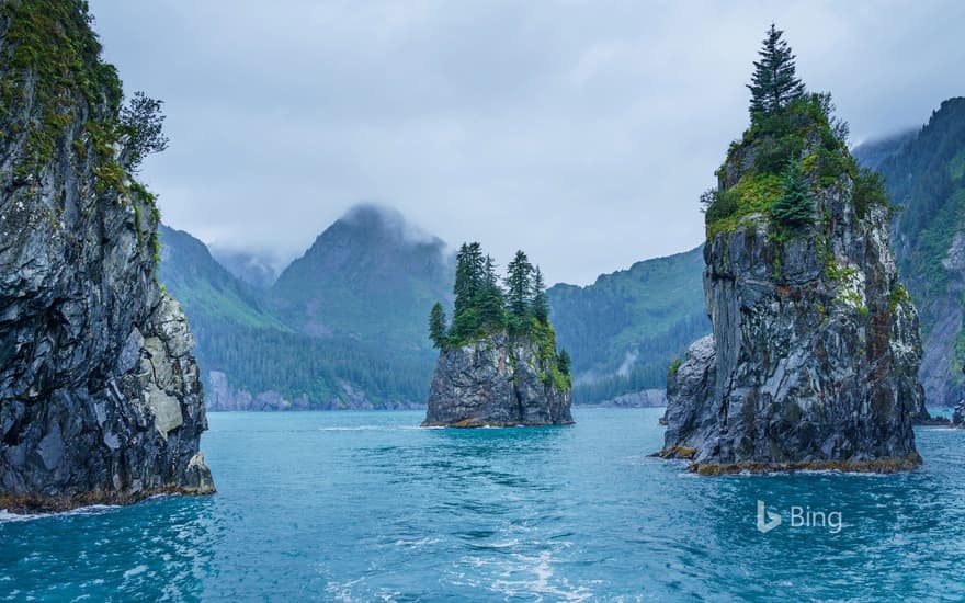 Cove of Spires in Kenai Fjords National Park, Alaska