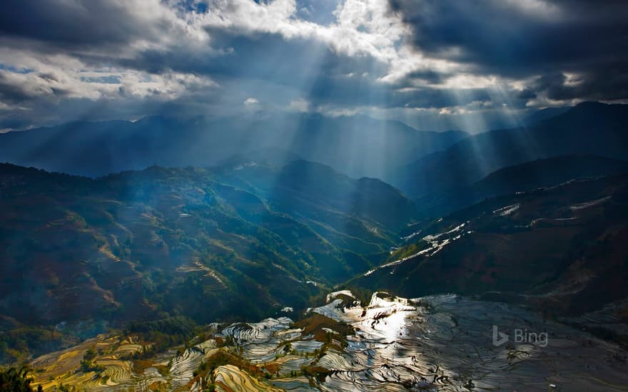 Sunlight reflecting on rice paddy terraces, Yuanyang County, China