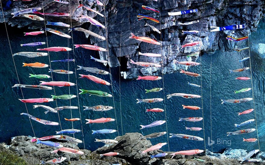 "The Oboke Gorge Carp Streamer" Miyoshi City, Tokushima Prefecture