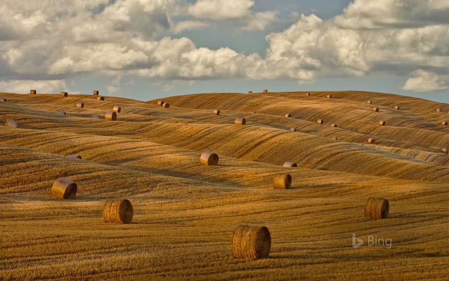 Hay bales in Tuscany, Italy