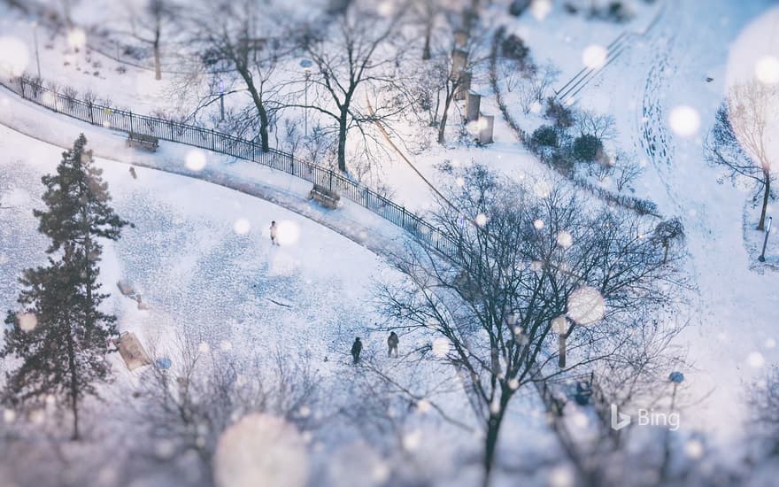 Snowy day in Toronto, Canada