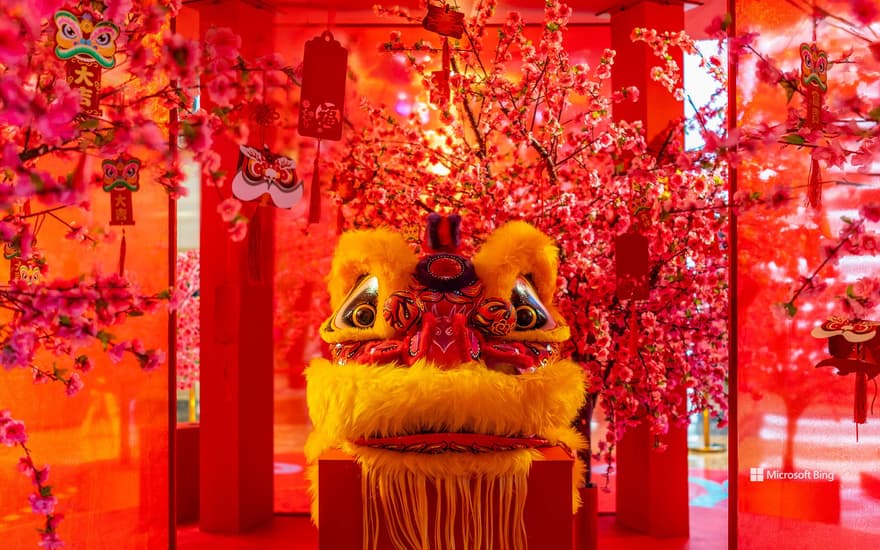 Chinese lion dance, New Year's Day