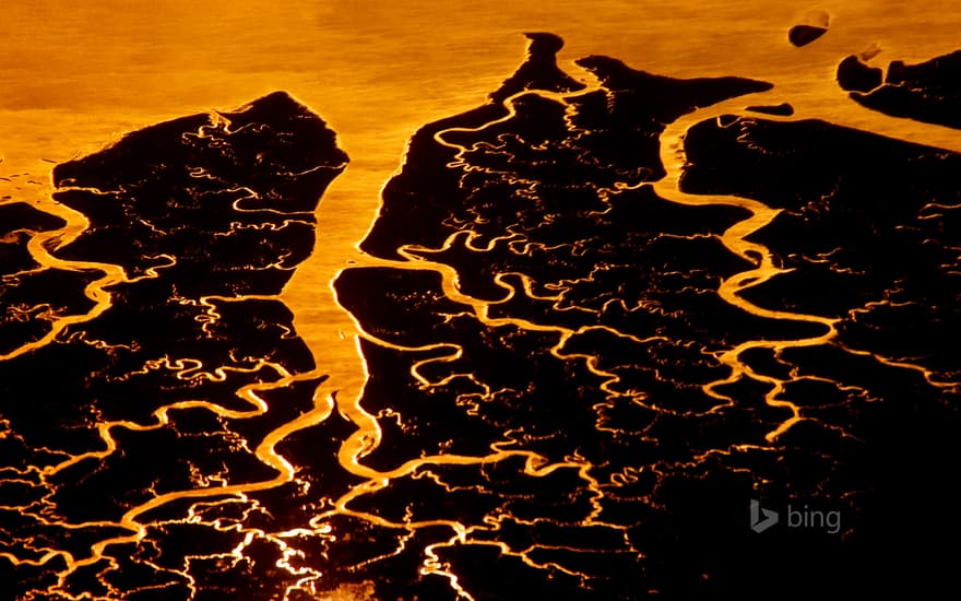 Suwannee River delta, Florida