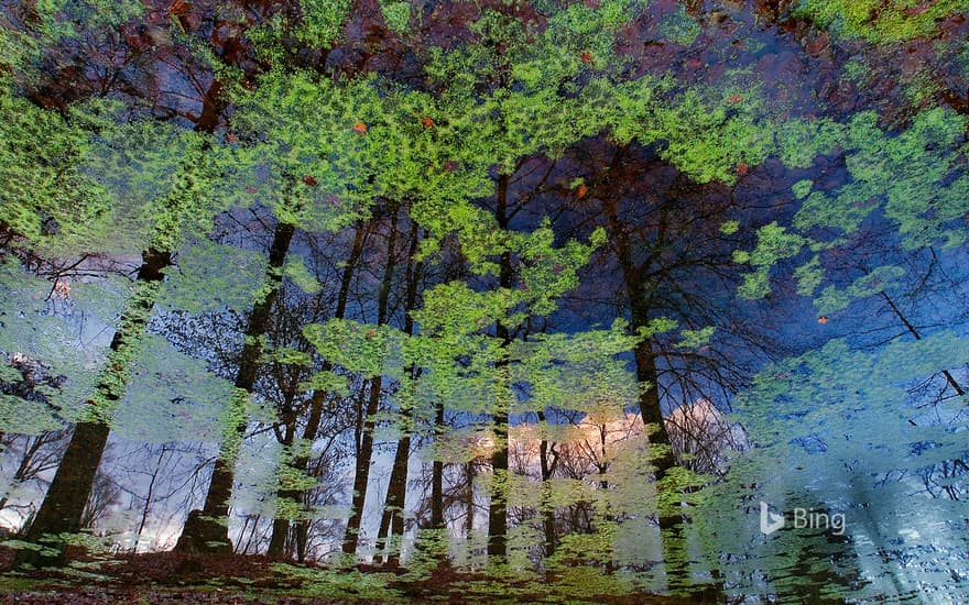 Reflection on the lake at Bergpark Wilhelmshöhe in Kassel, Germany